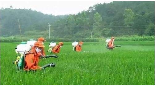 農藥行業仍然具有較大的發展空間，高效、低毒、低殘留將是其發展方向
