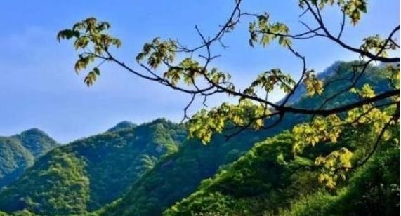 陜西省政府：印發《秦嶺生態環境保護行動方案》，持之以恒有效保護秦嶺這一國家重要生態安全屏障