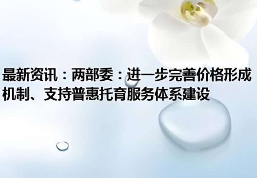 國發改委有關負責同志就《關于進一步完善價格形成機制、支持普惠托育服務體系建設的通知》答記者問