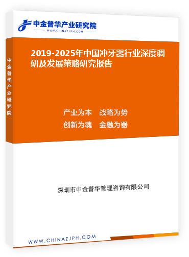2019-2025年中國沖牙器行業深度調研及發展策略研究報告