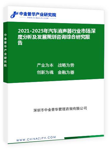 2021-2025年汽車消聲器行業市場深度分析及發展規劃咨詢綜合研究報告