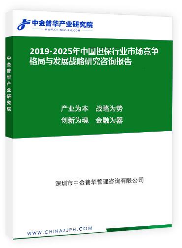 2019-2025年中國擔保行業市場競爭格局與發展戰略研究咨詢報告