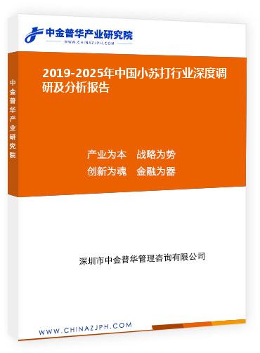 2019-2025年中國小蘇打行業深度調研及分析報告