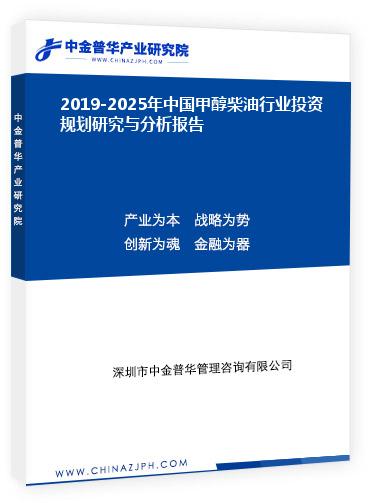 2019-2025年中國甲醇柴油行業投資規劃研究與分析報告
