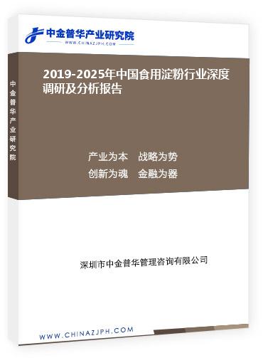 2019-2025年中國食用淀粉行業深度調研及分析報告