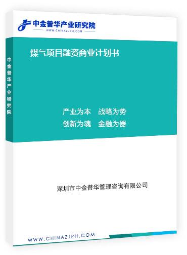 煤氣項目融資商業計劃書