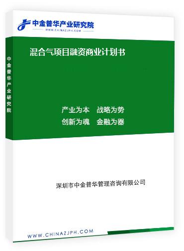 混合氣項目融資商業計劃書