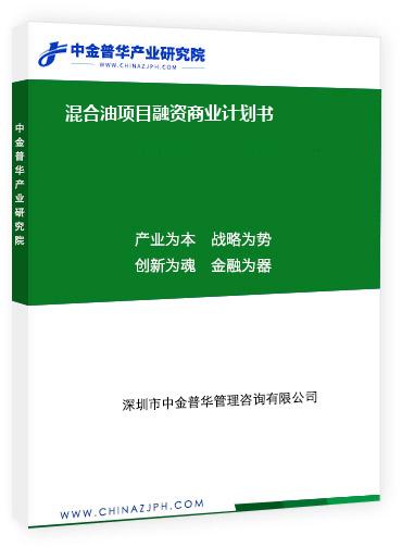 混合油項目融資商業計劃書